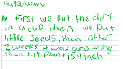 First we put the dirt in the cup.